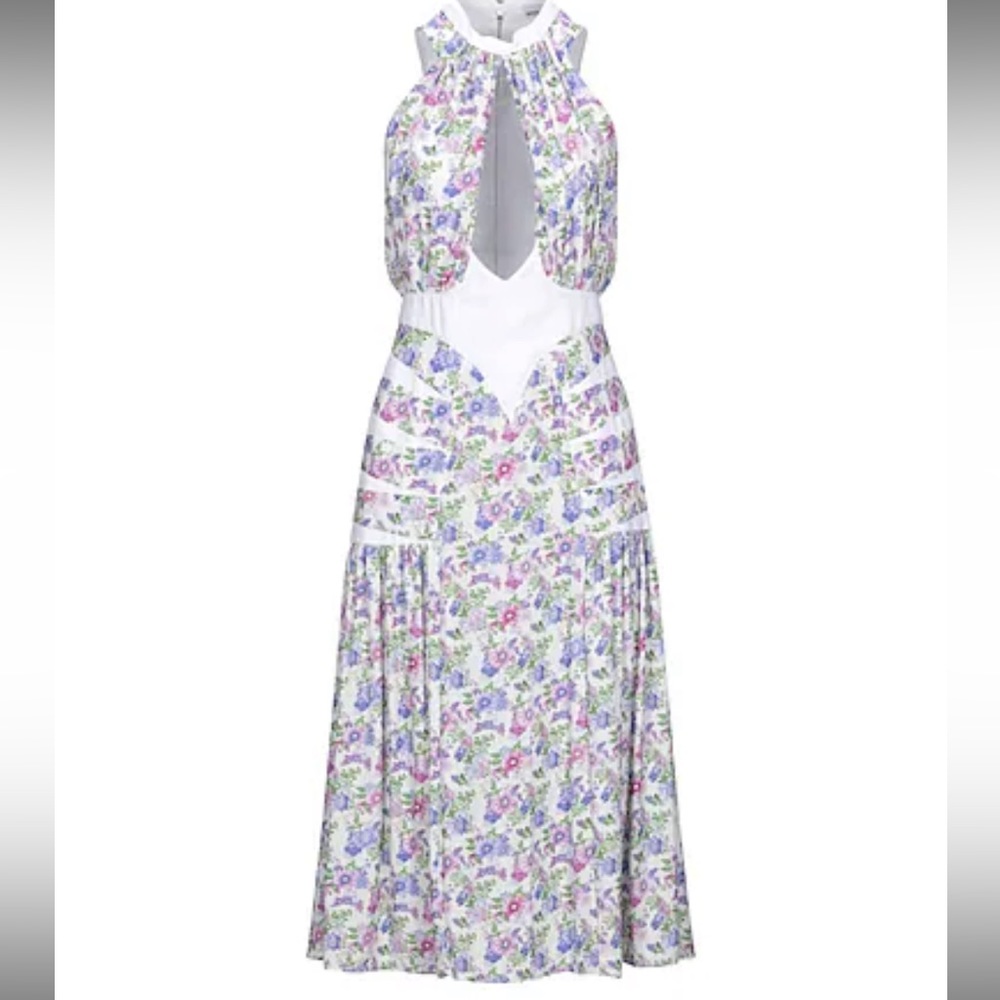 Paco Rabanne Midi garden dress size 4